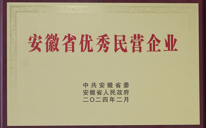 安徽省優(yōu)秀民營企業(yè)稱號 安徽省優(yōu)秀民營企業(yè)稱號